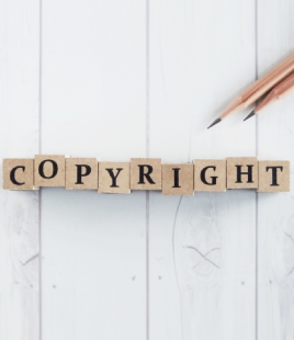 Software Copyright License