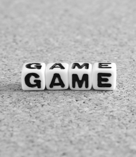 Game/Game Operation Record License